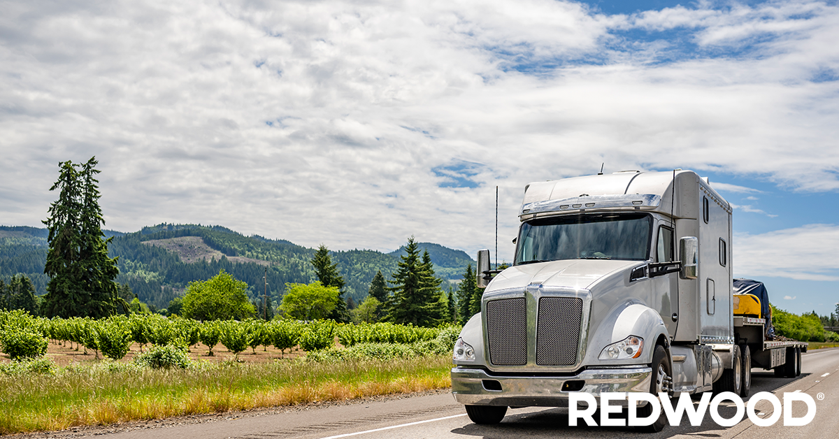 RedWood Insights A Logistical Resource risk management